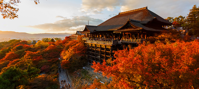 Vacances au japon, Séjour à Kyoto