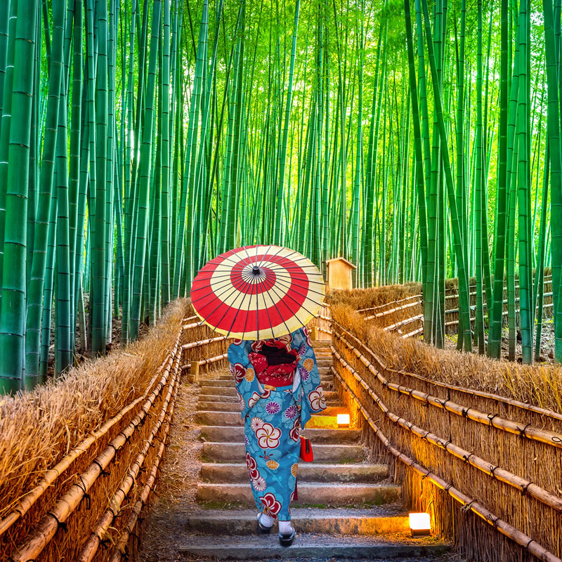 Un voyage au Japon avec circuit semi-guidé (journée de visites) : Itinéraire : Tokyo, Takayama, Shirakawago, Kanazawa ,Kyoto, Hiroshima, Miyajima, Mt-Koya, Osaka. Le + de ce circuit Japon : visite site classé à l’UNESCO depuis 1996.