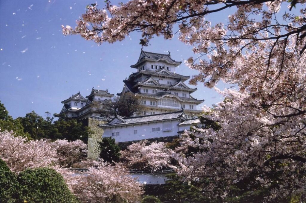 Voyage Japon circuit sakura
